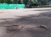 То коли ж відремонтують розбиті корти у парку ім. Шевченка в Рівному? 