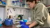 Тестують українську вакцину на мишах у Польщі