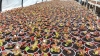 Тисячі квітів - комунальники показали, чим прикрасять клумби у Рівному