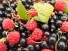 ТОП-5 липневих ягід і фруктів: зарядись вітамінами!