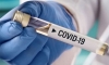 Три смерті і 159 нових випадків COVID-19 за добу на Рівненщині