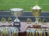 У чвертьфінал Кубку Рівненщини з футболу пройшли вісім команд