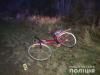 У Дубні автомобіль збив п'яного велосипедиста