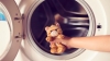 У Костополі пральна машина скалічила дитині руку