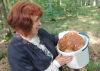 У лісі на Рівненщині жінка знайшла гриба-велетня
