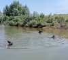 У річці на Львівщині втопилася здолбунівчанка