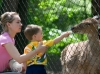 У рівненського зоопарку проблеми через відвідувачів, які годують тварин
