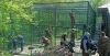 У Рівненському зоопарку будують нові вольєри для евакуйованих тварин