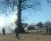 У селі на Рівненщині діти підпалили дуб, якому дві сотні років (ВІДЕО)