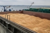 У Туреччині Україна та Росія домовляються про припинення вогню для вивезення зерна морем