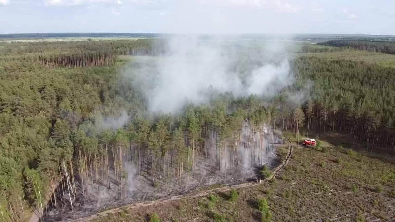 У Вараському лісі гасили велику пожежу (ФОТО)