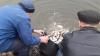 У Володимирці сезон риболовлі розпочнуть у серпні (відео)