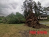 «Ураган» на Рівненщині корчував дерева та засипав градом (ФОТО/ВІДЕО)