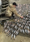 В Олександрії рибалку оштрафували на 345 тисяч гривень