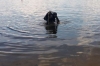 У Квасилові водолази дістали з дна озера потопельника