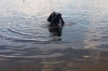 В Рівненському районі водолази витягнули зі ставка потопельника