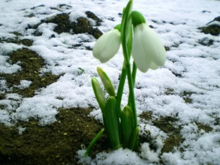 В усіх областях України – весна