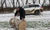 Вінницькі поліцейські затримали на Київщині крадіїв лісу з Рівненщини