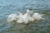 Вода, яка вбиває: за вихідні на Рівненщині потонули четверо чоловіків