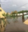 Води по коліна: на Рівненщині затопило чотири райони