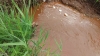 Водоканал спускав у Басів Кут брудну воду – еко-інспекція