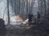 Згуртовані і відважні: як поліщуки боролися з лісовою пожежею