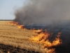 Яке покарання передбачено жителям Рівненщини за спалювання сухої трави?