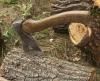 За фактами крадіжок лісу на Рівненщині відкрили 11 кримінальних проваджень