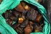 За менше пів року на Рівненщині вилучили півтори тонни бурштину