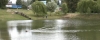 Запозичили досвід в японців: у парку «Хімік» почистили ставок