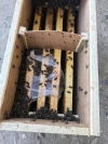 Живими не доїхали: 8 млн бджіл відправили із Закарпаття звичайною вантажівкою