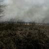Зимою на Поліссі загорілась трава: селяни боялись, що вогонь перекинеться на будинки (ФОТО)