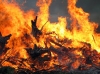 Знешкодили шершнів та гасили пожежі: робота рятувальників за добу