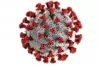 З’явилася надія: вчені створили ліки, які знищують на 99,9% вірус COVID-19