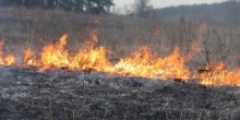 Горить трава та сміття. Учора на Рівненщині загасили 5 пожеж