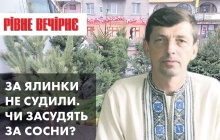 Хабар за сосни, нова «болячка» з Китаю та премії чиновників