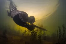 Підводні мисливці на Дубенщині вночі чинили опір патрулю