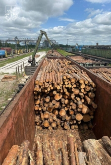 Організували схему контрабанди деревини до ЄС: серед них - двоє експертів з Рівненщини (ФОТО)