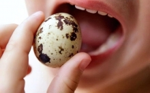 Перепелині яйця корисні зі шкаралупою