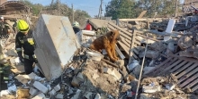Пес плакав на руїнах будинку в Дніпрі, де загинули його господарі (ВІДЕО)