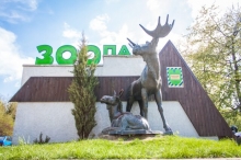 Рівненський зоопарк прихистив від війни понад 60 тварин з інших областей