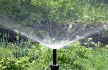 У багатоповерхівках поганий тиск води, бо містяни поливають городи