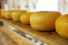 У супермаркетах Данії продаватимуть сири з Рівненщини