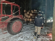 На Рівненщині трактором намагались вивезти сім кубів незаконної деревини