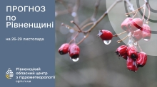 Відзавтра на Рівненщину повернуться опади