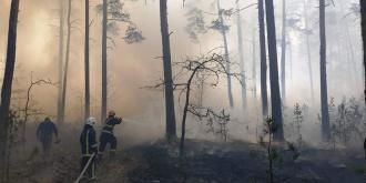 Біля Сарн ліс гасили півсотні вогнеборців (ФОТО)