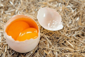 Колір яєчних жовтків має значення