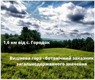 Концентрацію формальдегідів у Городку буде перевищено у 9 разів – Екоклуб