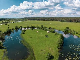 Львівські музики запрошують на запальні танці на берег Горині