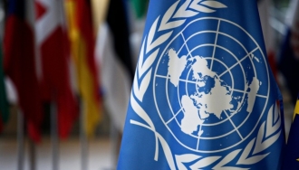 Микола Несенюк: Резолюція ООН